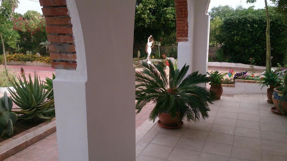 Il Mirto E La Rosa Bed & Breakfast Arenella  Bagian luar foto