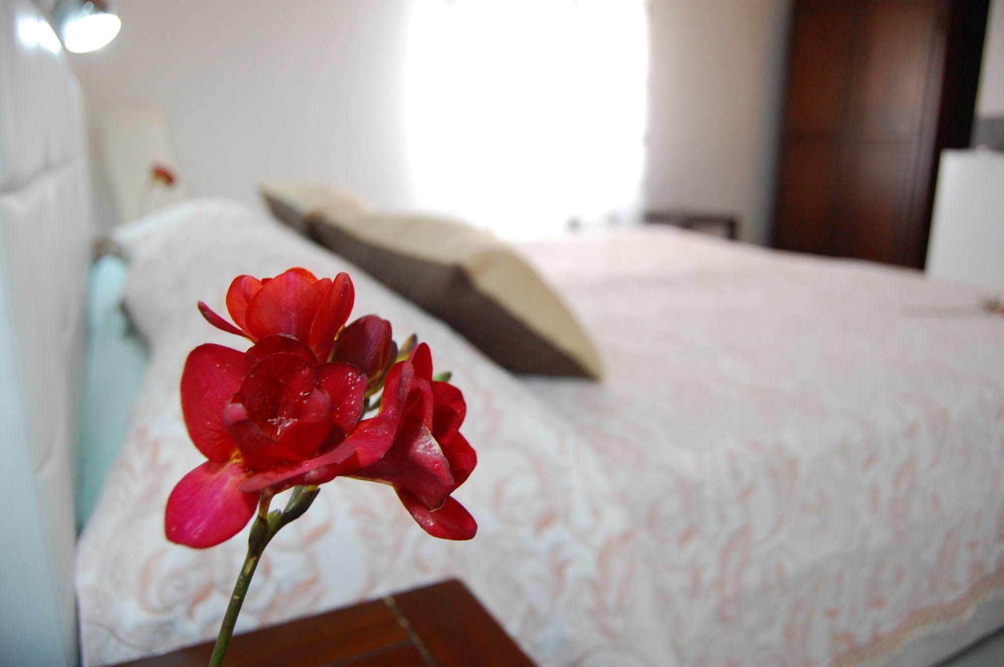 Il Mirto E La Rosa Bed & Breakfast Arenella  Bagian luar foto
